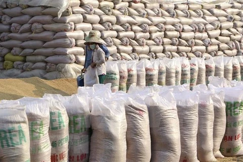 美国农业部预测越南将继续是世界第二大米出口国