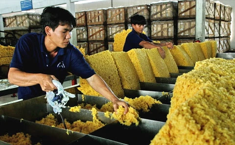 越南橡胶出口额猛增