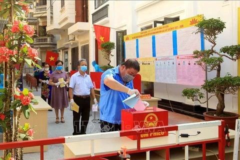国际媒体关注越南新一届国会和各级人民议会选举