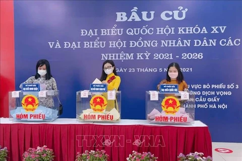 外国媒体纷纷报道越南国会及各级人民议会换届选举
