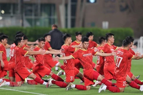  越南与阿联酋展开深度合作 推动足球发展