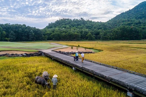 6.5世界环境日：坚持环保推动旅游业可持续发展