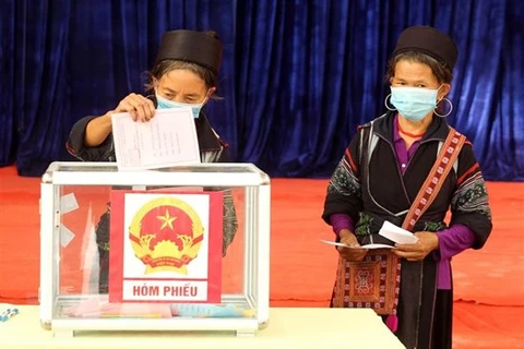 越南国家选举委员会办公室主任： 选举圆满成功