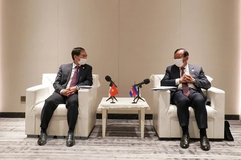 越南外交部长裴青山会见柬埔寨副首相兼外交和国际合作部大臣布拉索昆