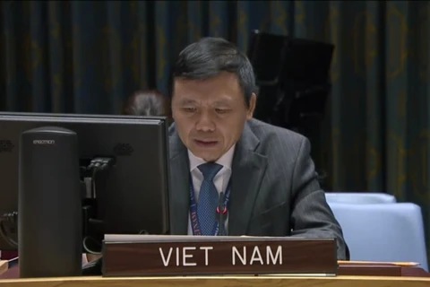 越南与联合国安理会：越南承诺促进联合国宪章和国际法的作用
