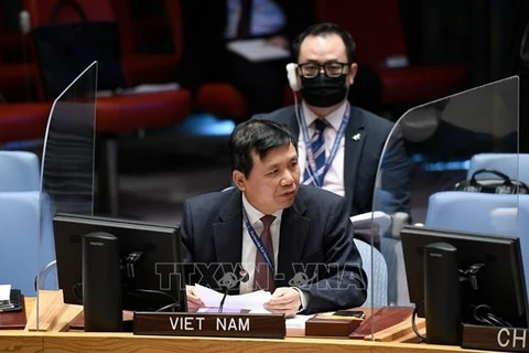越南与联合国安理会：越南敦促各方接受联合国提出的也门和平倡议