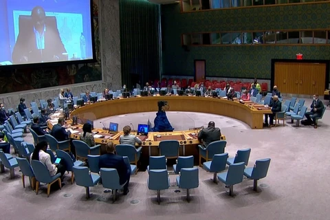 越南与联合国安理会：越南继续为联合国南苏丹特派团的活动作出积极贡献