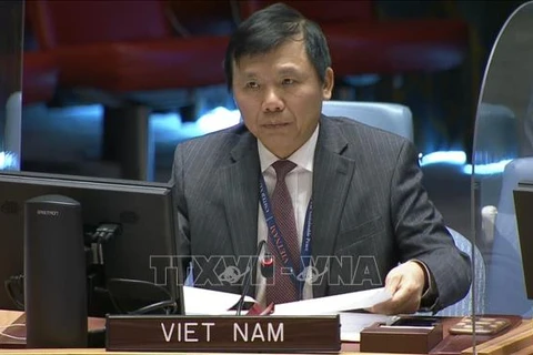 越南与联合国安理会：越南呼吁各方为实现波黑民族和解作出努力