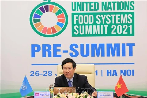 越南希望成为粮食系统的创新中心