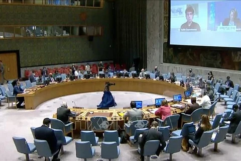 越南与联合国安理会：呼吁各国和国际组织继续向巴勒斯坦人民提供援助