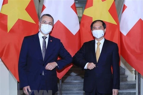 越南外交部部长裴青山与瑞士副总统兼外长卡西斯举行会谈