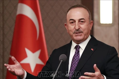 土耳其外长：东盟与土耳其关系发展前景乐观