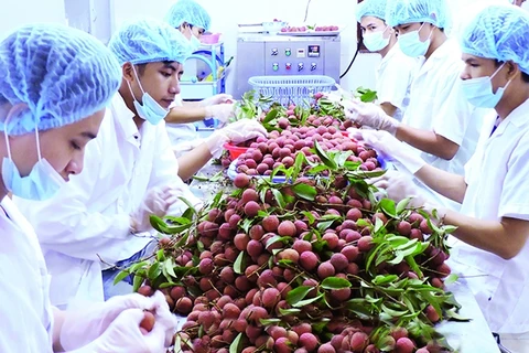 越南农产品颇受欧盟市场欢迎