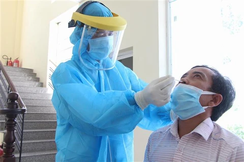 响应越共中央总书记的号召：海外越南人向胡志明市赠送医用口罩