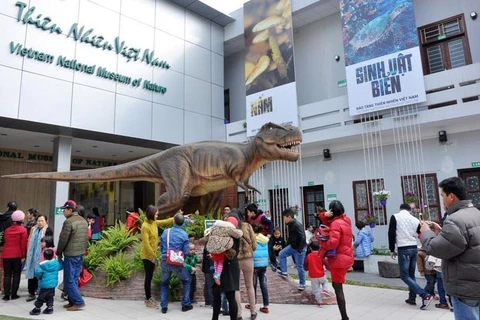 面积超38公顷的越南自然博物馆将在河内国威县兴建
