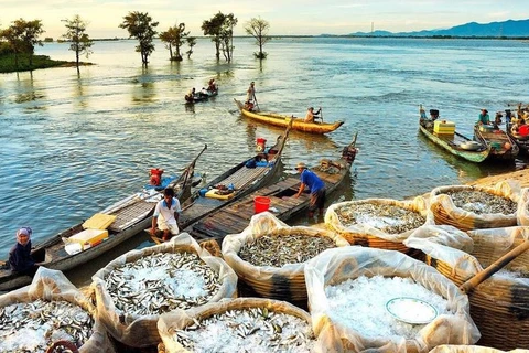 越南九龙江三角洲旅游业寻求方法渡过疫情难关