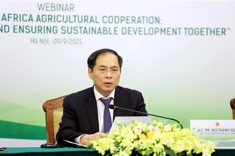越南与非洲农业合作：加强沟通对接 共促可持续发展