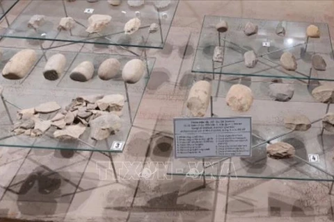 安沛省“茂阿码头”考古遗址再发掘 又有“惊世”发现