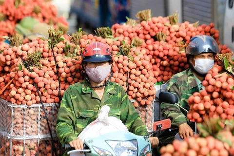 越中携手两国推动贸易便利化