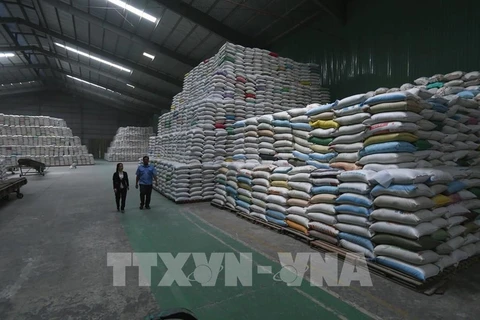 继续向胡志明市发放逾56555吨大米援助受疫情影响的民众