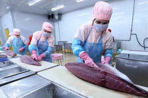 金枪鱼产品力争充分利用《越南-欧盟自由贸易协定》带来的优惠
