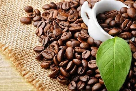 越南咖啡对韩国的出口迎来新一轮增长机会