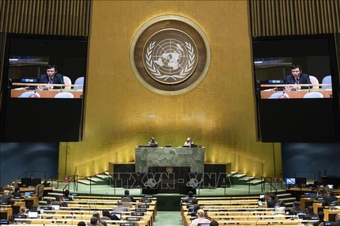越南与联合国安理会：越南谴责引起海地政治不稳定的行为