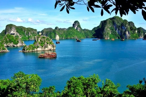 旅游活动助力向世界推介越南遗产美丽形象