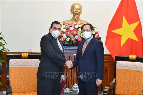 越南外长裴青山会见巴拿马驻越大使