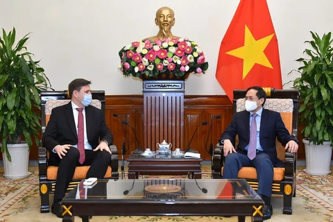 越南外交部部长裴青山感谢波兰政府和人民已向越南援助新冠疫苗