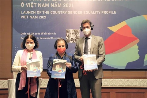 越南首次发布关于性别平等的综合报告