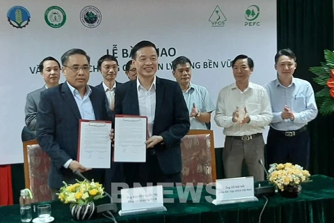 提高越南森林认证品牌在国际市场上的地位