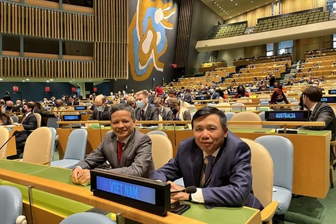 阮红操大使连任联合国国际法委员会委员：彰显国际社会对越南的支持和信任