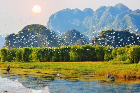 科学家讨论恢复越南生态系统的措施