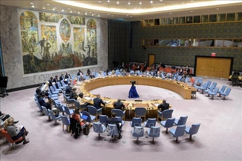 越南与联合国安理会：联合国安理会呼吁有关各方确保索马里即将举行的选举的安全