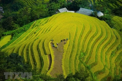 在线旅游体验——河江旅游的新方向