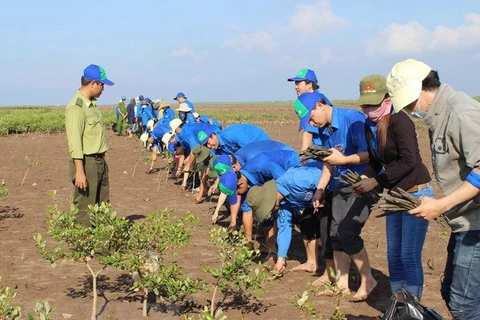 越南考虑将自然灾害和气候变化防治纳入地方经济社会发展计划中