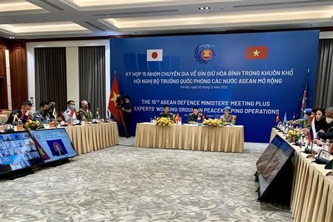 越南与日本共同主持第四周期维和专家小组第15次在线会议