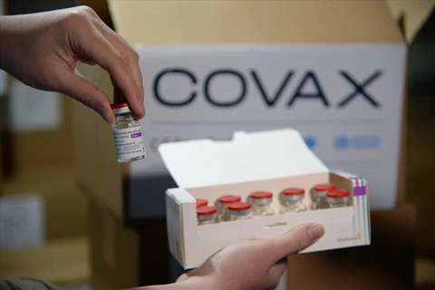 越南与联合国安理会：越南呼吁促进疫苗公平获取和互相援助恢复经济
