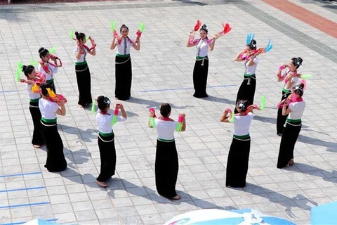 越南泰族群舞满足获列入《人类非物质文化遗产代表作名录》的各项标准