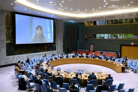 越南与联合国安理会：越南对叙利亚和埃塞俄比亚的局势表示关切