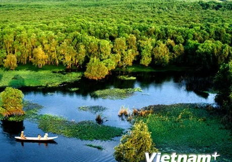 恢复和发展湄公河三角洲旅游业