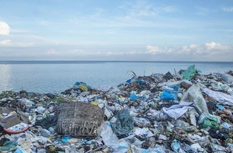 加强海洋塑料垃圾管理 实现水产品行业可持续发展