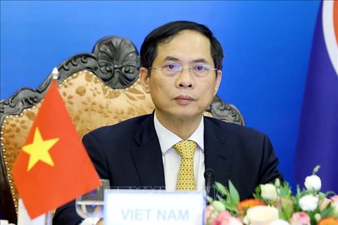 回顾2021年：在党十三大决议下越南外交工作为建国卫国事业作出贡献