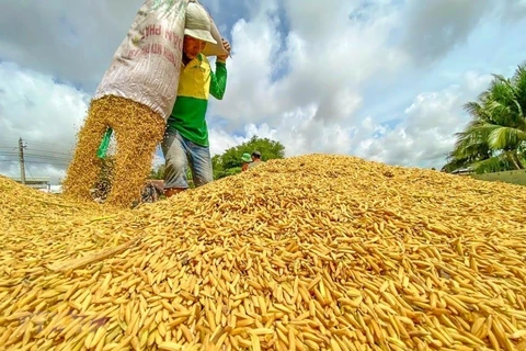 越南农业超额完成全年目标