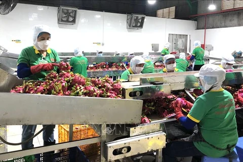 越南同奈省2022年出口首批加工水果
