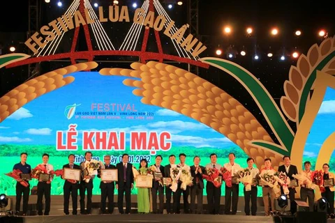 第五届越南大米节：可持续农业助力农家发展