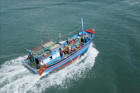 越南海洋岛屿：加强远海捕捞船队的能力