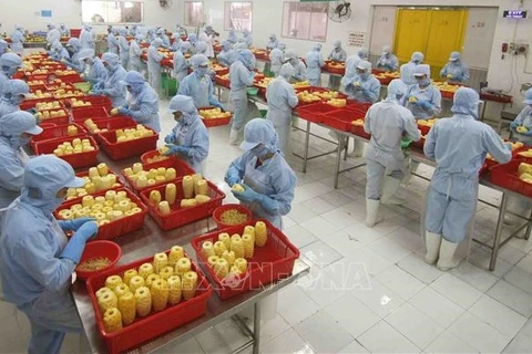 越南商品以灵活的方式征服亚欧市场