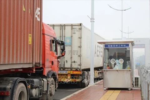 越南边境省市暂停接收开往边境口岸出口中国新鲜果蔬车辆